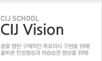 CIJ Vision