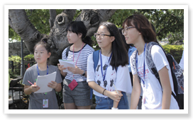 레인포레스트